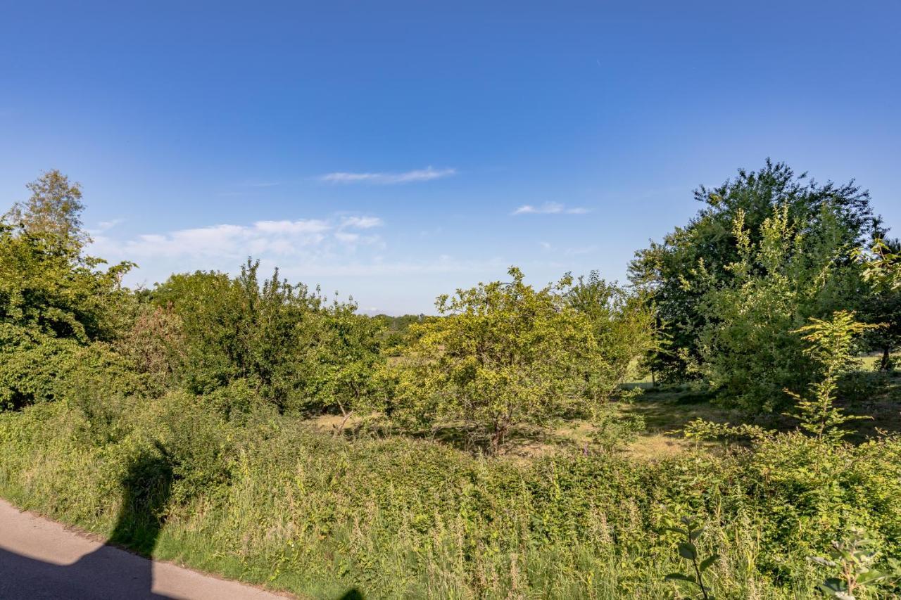 Danny Lodge - Country Cottage Near Brighton By Huluki Sussex Stays Hurstpierpoint Ngoại thất bức ảnh