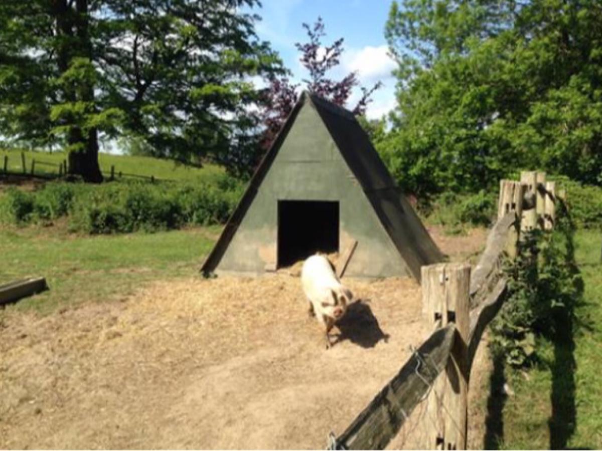 Danny Lodge - Country Cottage Near Brighton By Huluki Sussex Stays Hurstpierpoint Ngoại thất bức ảnh